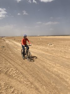 Cycling Azraq Desert Castles & wetland - Off Road (Guided)