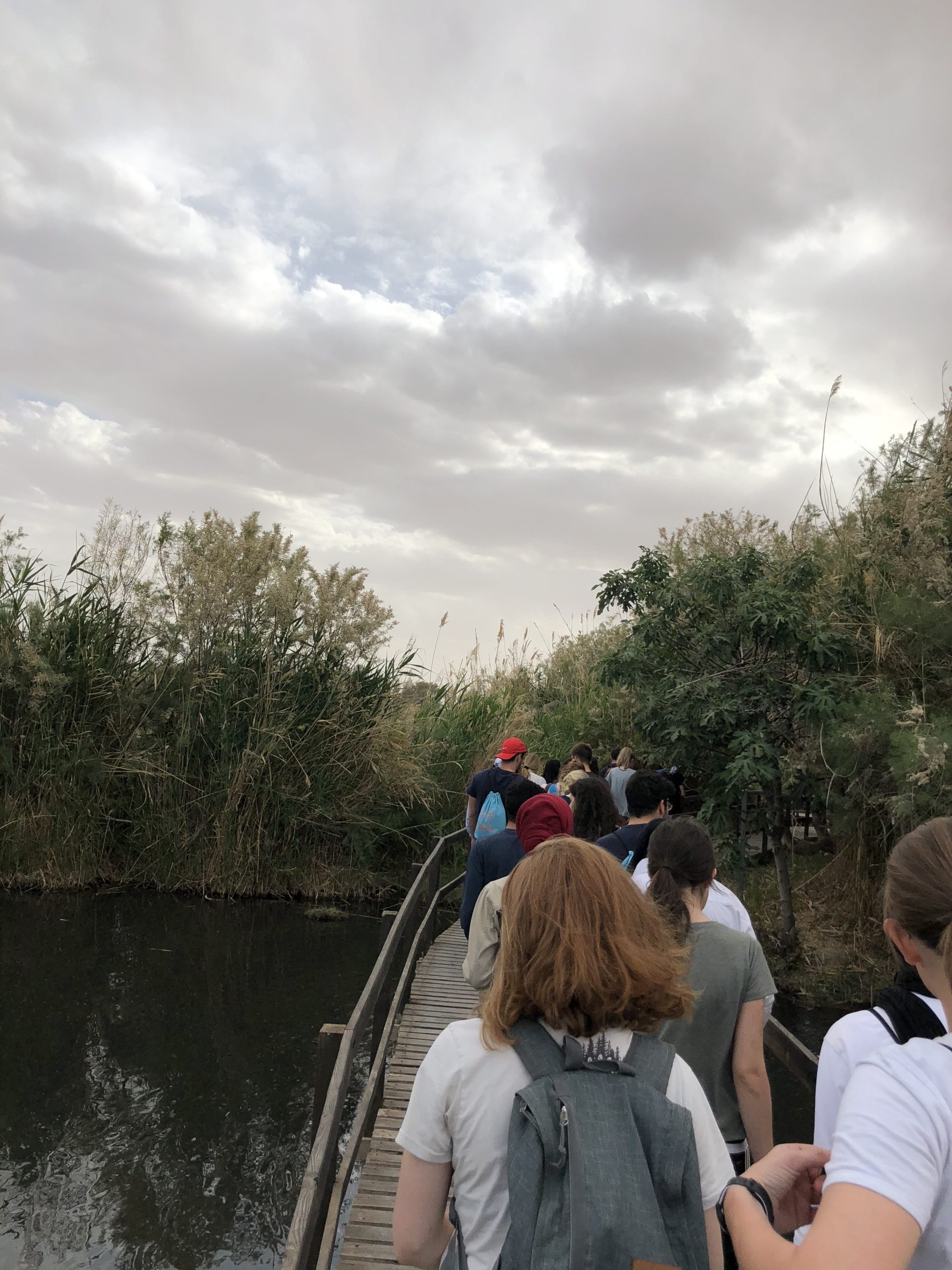 Azraq Wetland - Jordan