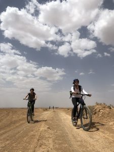Cycling Azraq Desert Castles & wetland - Off Road (Guided)